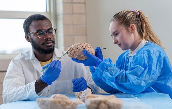 students in brain lab