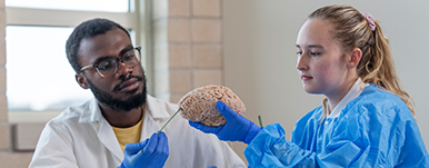 engineering and health