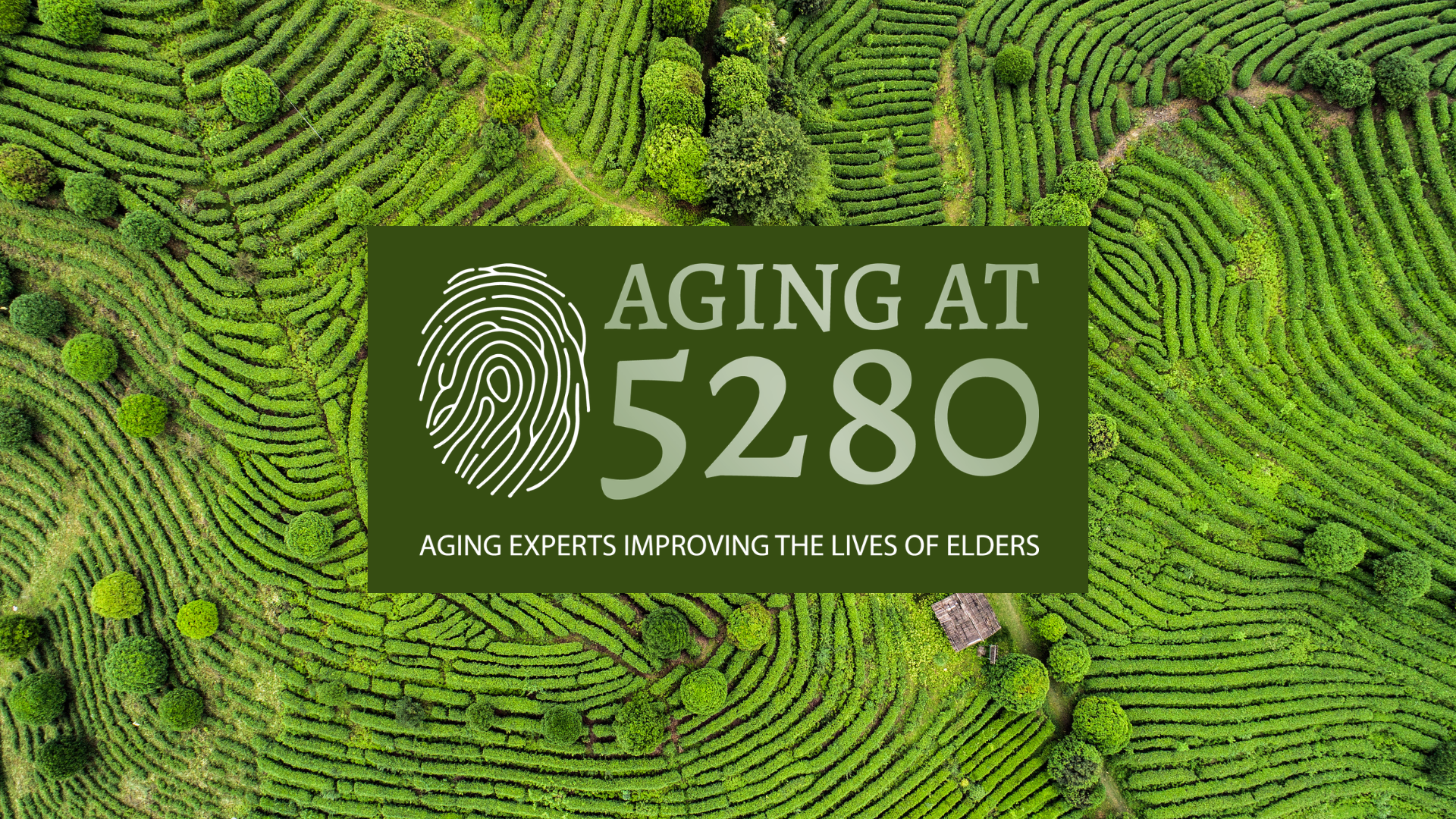 aging at 5280 logo