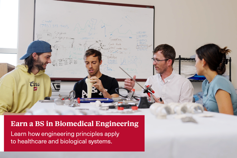 Biomedical Engineering students and faculty