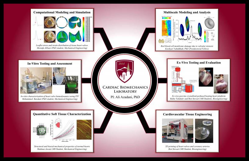 Cardiac lab graphic