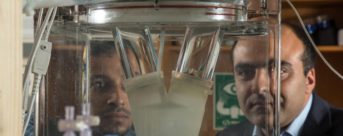 two men doing research in lab