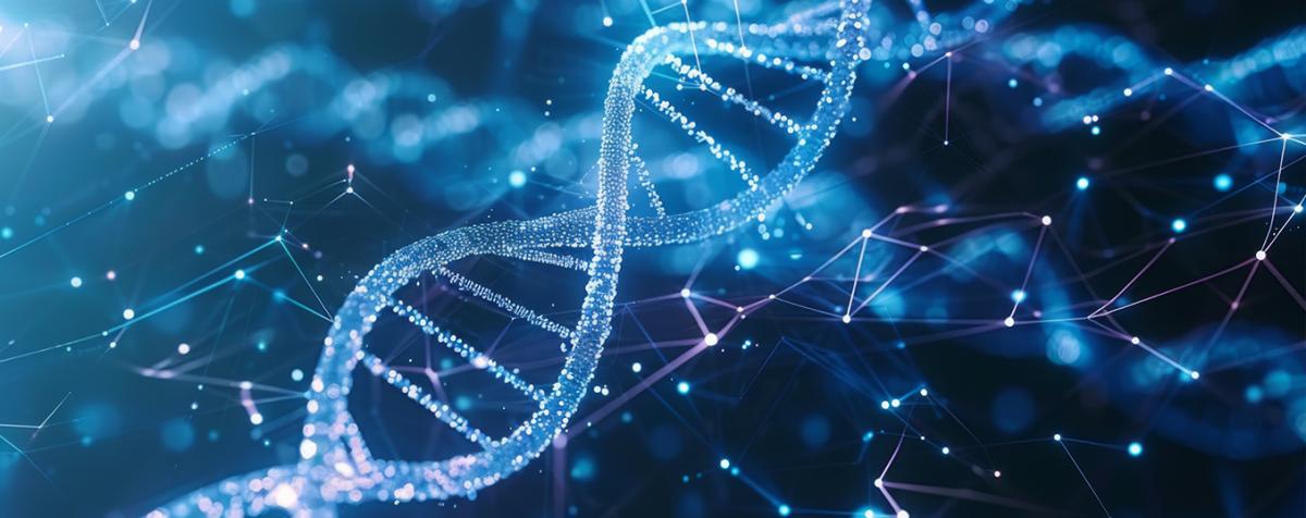 biomedical engineering degree