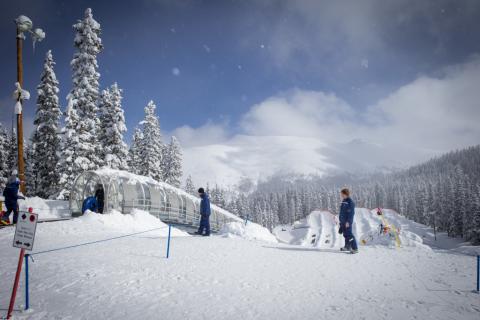 Skiers at Vail